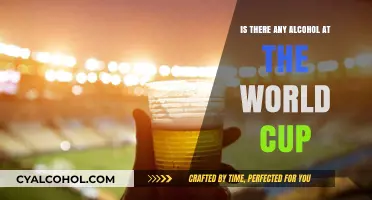 Alcohol Policies at the World Cup: What Fans Need to Know