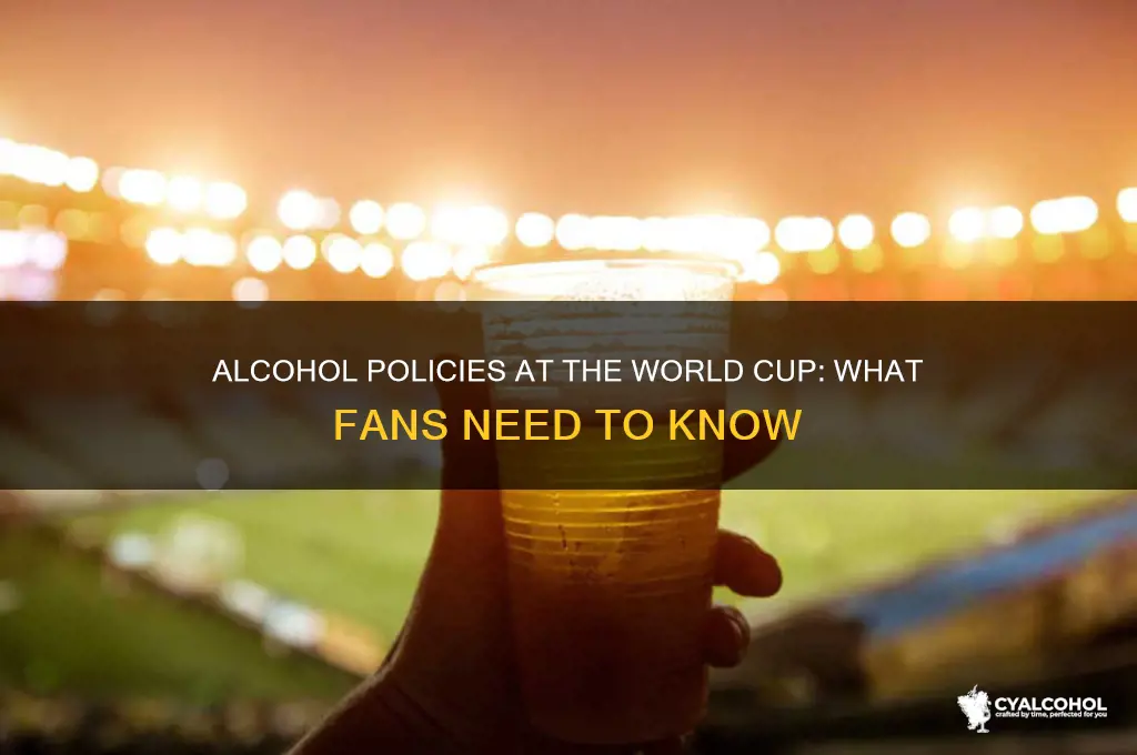 is there any alcohol at the world cup