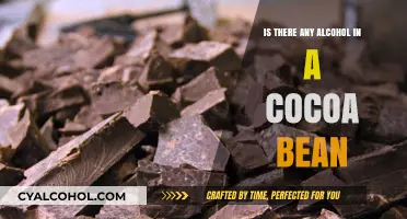 Cocoa Beans and Alcohol: Unraveling the Truth Behind the Myth