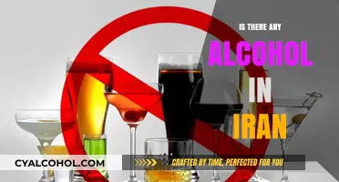 Exploring Iran's Alcohol Laws: Myths, Realities, and Cultural Insights