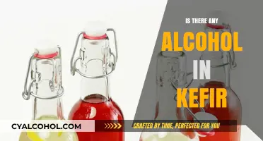 Does Kefir Contain Alcohol? Uncovering the Fermented Truth