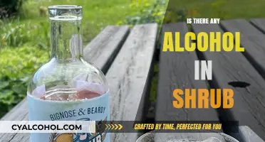 Exploring Shrubs: Unveiling the Truth About Alcohol in This Tangy Drink