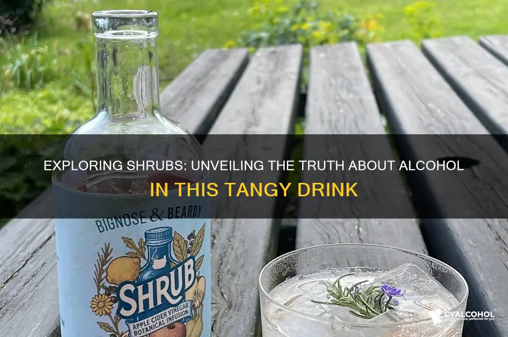is there any alcohol in shrub