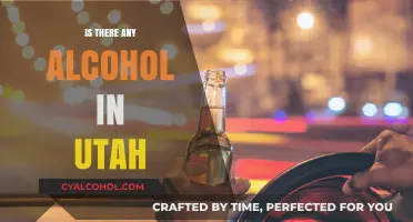 Exploring Utah's Alcohol Laws: What You Need to Know