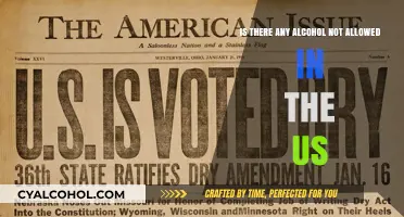 Alcohol Restrictions in the US: What's Banned?