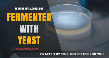 Exploring Alcohol Options: Can Drinks Be Made Without Yeast Fermentation?