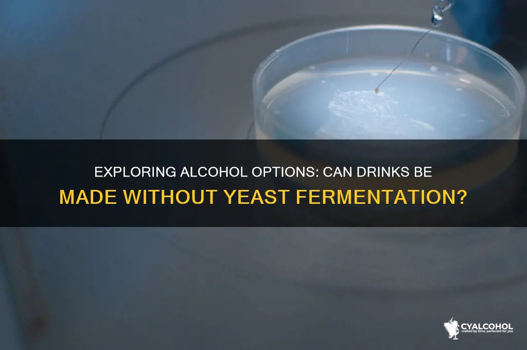 is there any alcohol not fermented with yeast