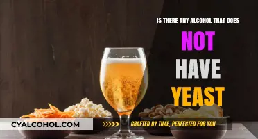 Alcohol Without Yeast: Is It Possible?