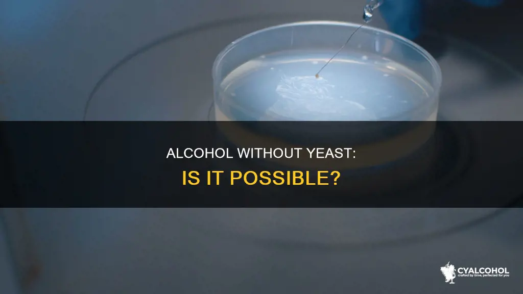 is there any alcohol that does not have yeast