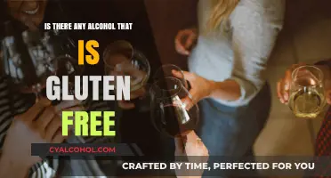 Gluten-Free Alcohol Guide: Safe Drinks for Celiac and Sensitive Diets