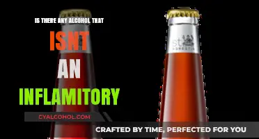 Non-Inflammatory Alcohol: Exploring Drinks That May Be Gentler on Your Body