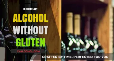 Gluten-Free Alcohol: Exploring Safe Options for Celiac and Sensitive Drinkers