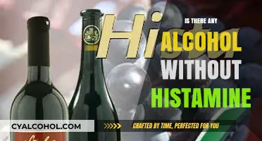 Exploring Histamine-Free Alcohol Options: What Drinks Are Safe for Sensitivities?