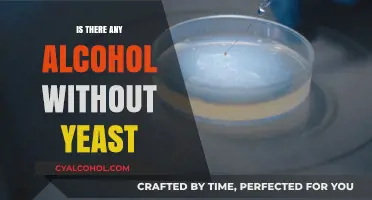 Exploring Alcohol Production: Can Drinks Be Made Without Yeast?
