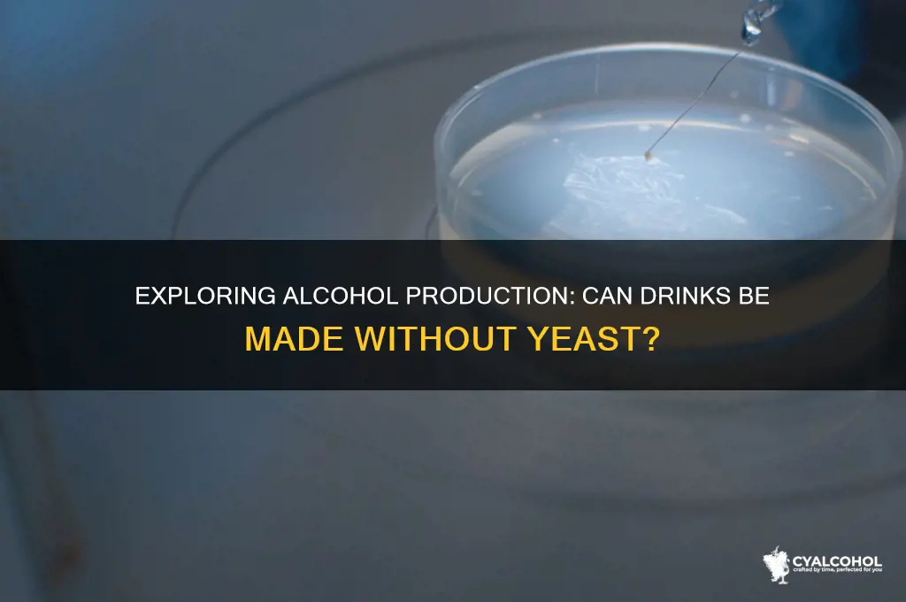 is there any alcohol without yeast