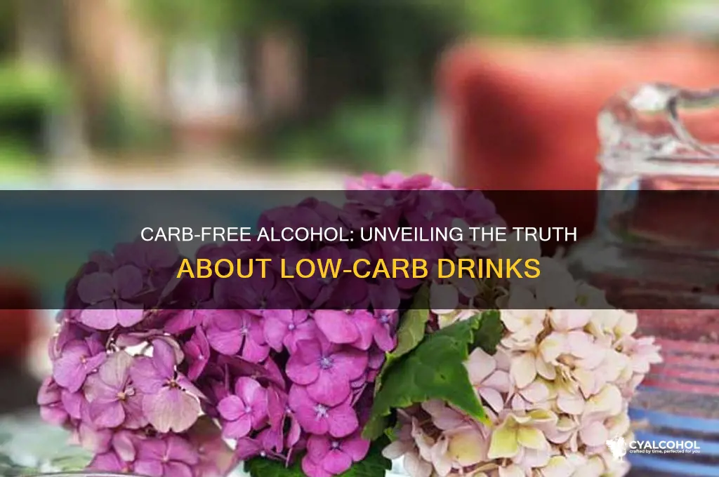 is there any carb free alcohol