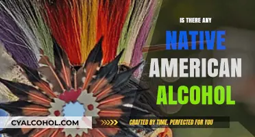 Exploring Native American Alcohol Traditions: History, Culture, and Practices