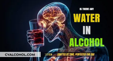 Exploring the Chemistry: Does Alcohol Contain Water?