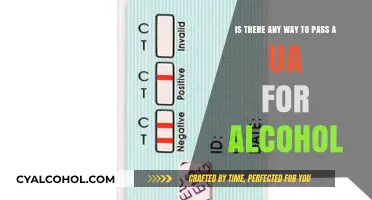 Passing Alcohol Tests: Strategies and Solutions