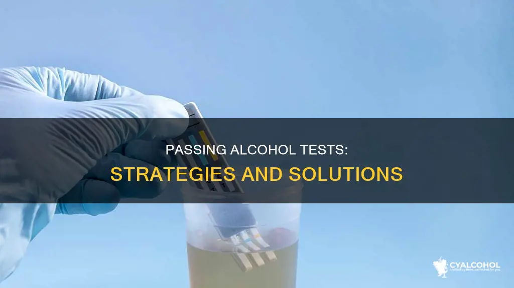 is there any way to pass a ua for alcohol
