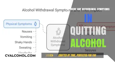 Quitting Alcohol: Understanding Withdrawal Symptoms and How to Manage Them