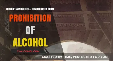 Who's Still in Prison from Prohibition?