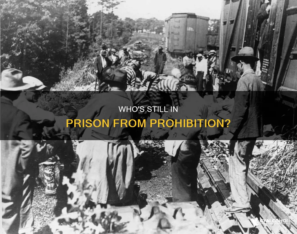 is there anyone still incarcerated from prohibition of alcohol