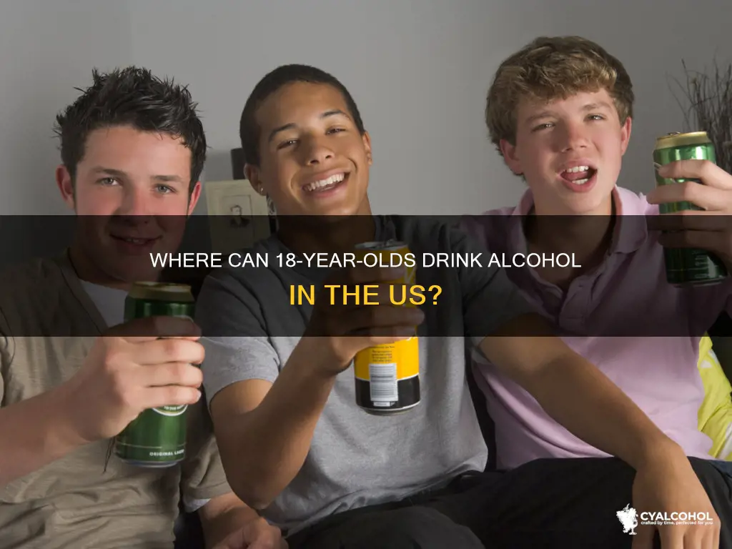 is there anywhere in usa possesion of alcohol at 18