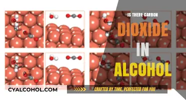 Carbon Dioxide in Alcohol: Unveiling the Science Behind Your Drink