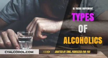 Exploring the Varied Faces of Alcoholism: Are All Alcoholics Alike?
