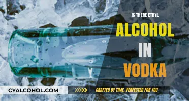 Does Vodka Contain Ethyl Alcohol? Unveiling the Truth Behind the Spirit