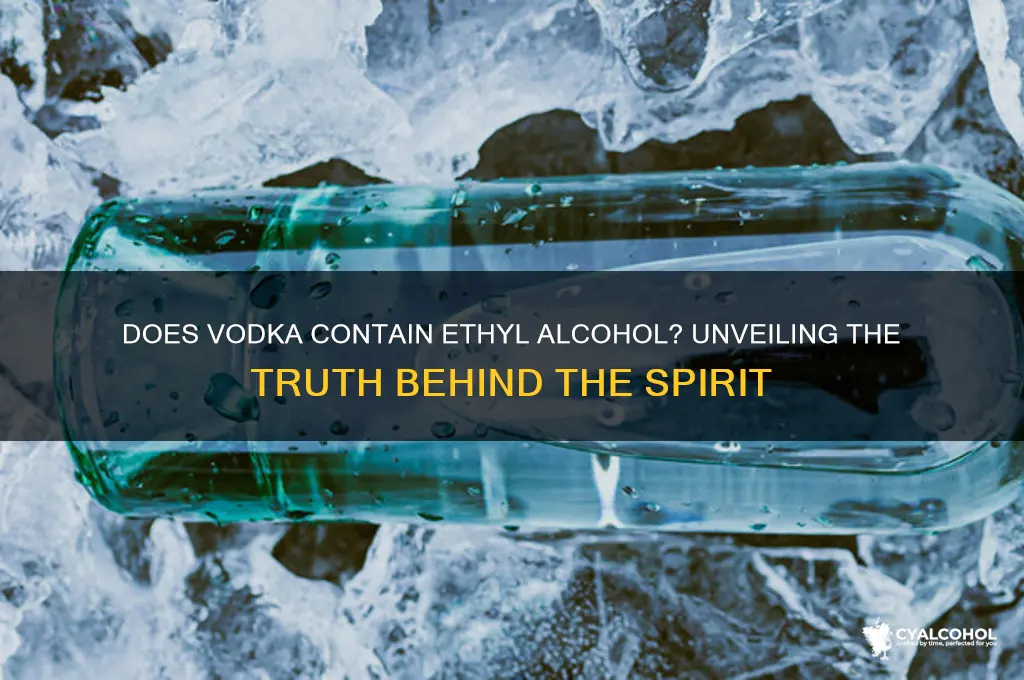is there ethyl alcohol in vodka