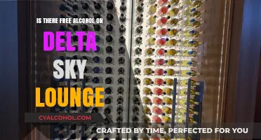 Delta Sky Lounge Perks: Does Free Alcohol Come with Entry?
