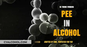 Fungus Pee in Alcohol: Myth or Reality? Uncovering the Truth