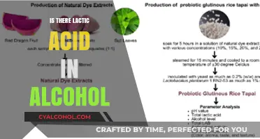 Lactic Acid in Alcohol: Unveiling the Surprising Connection in Your Drinks