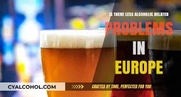 Exploring Europe's Alcohol Culture: Fewer Problems Than Expected?
