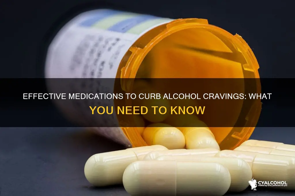 is there medication for alcohol cravings