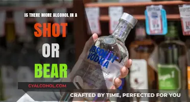 Shots vs Beer: Which Packs More Alcohol?