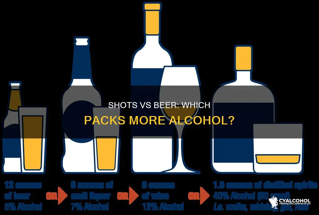 is there more alcohol in a shot or bear