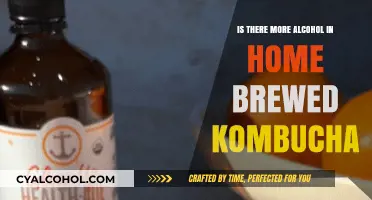 Home Brewed Kombucha: Uncovering the Alcohol Content Mystery