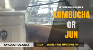Kombucha vs. Jun: Which Fermented Drink Packs More Alcohol?