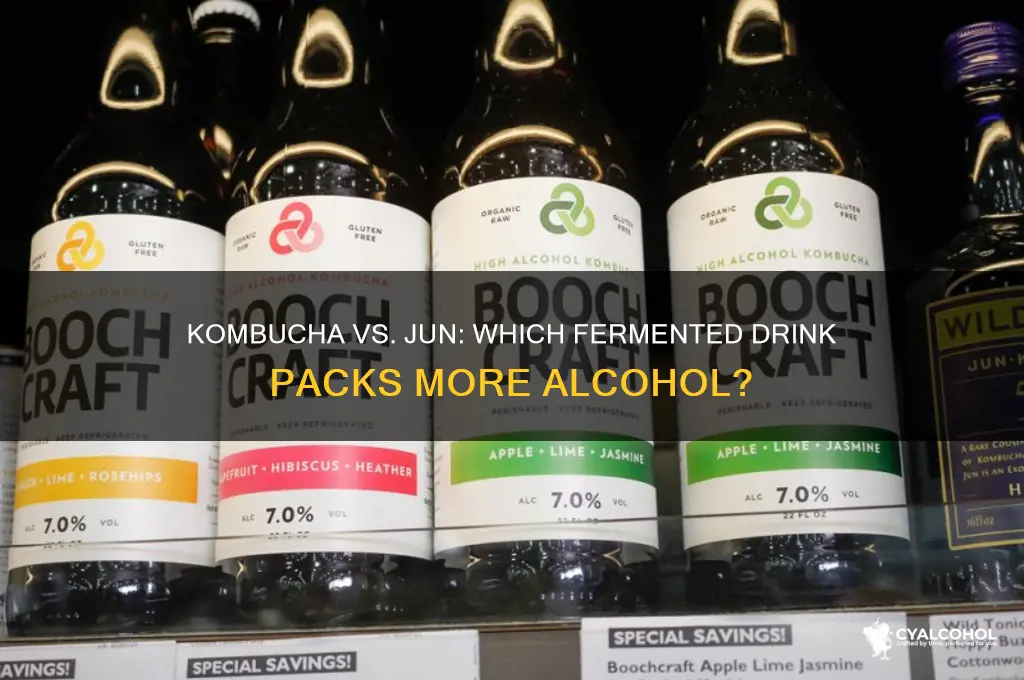 is there more alcohol in kombucha or jun