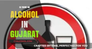 Exploring Gujarat's Alcohol Ban: Truths, Myths, and Cultural Impact