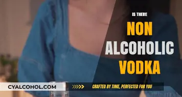 Exploring Non-Alcoholic Vodka: A Sober Twist on a Classic Spirit