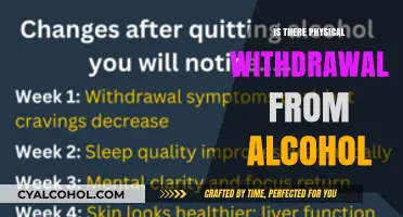 Understanding Alcohol Withdrawal: Physical Symptoms and Recovery Process