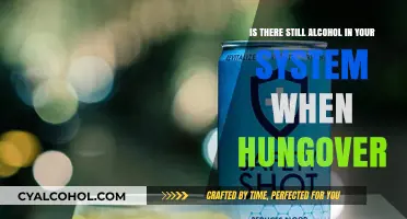 Hangover Science: Alcohol's Lingering Effects