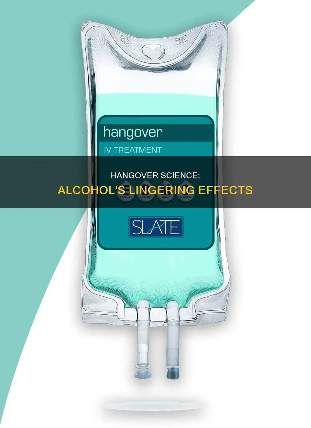 is there still alcohol in your system when hungover