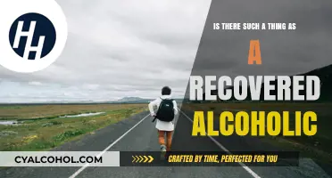 Alcoholism: Recovery or Lifelong Battle?