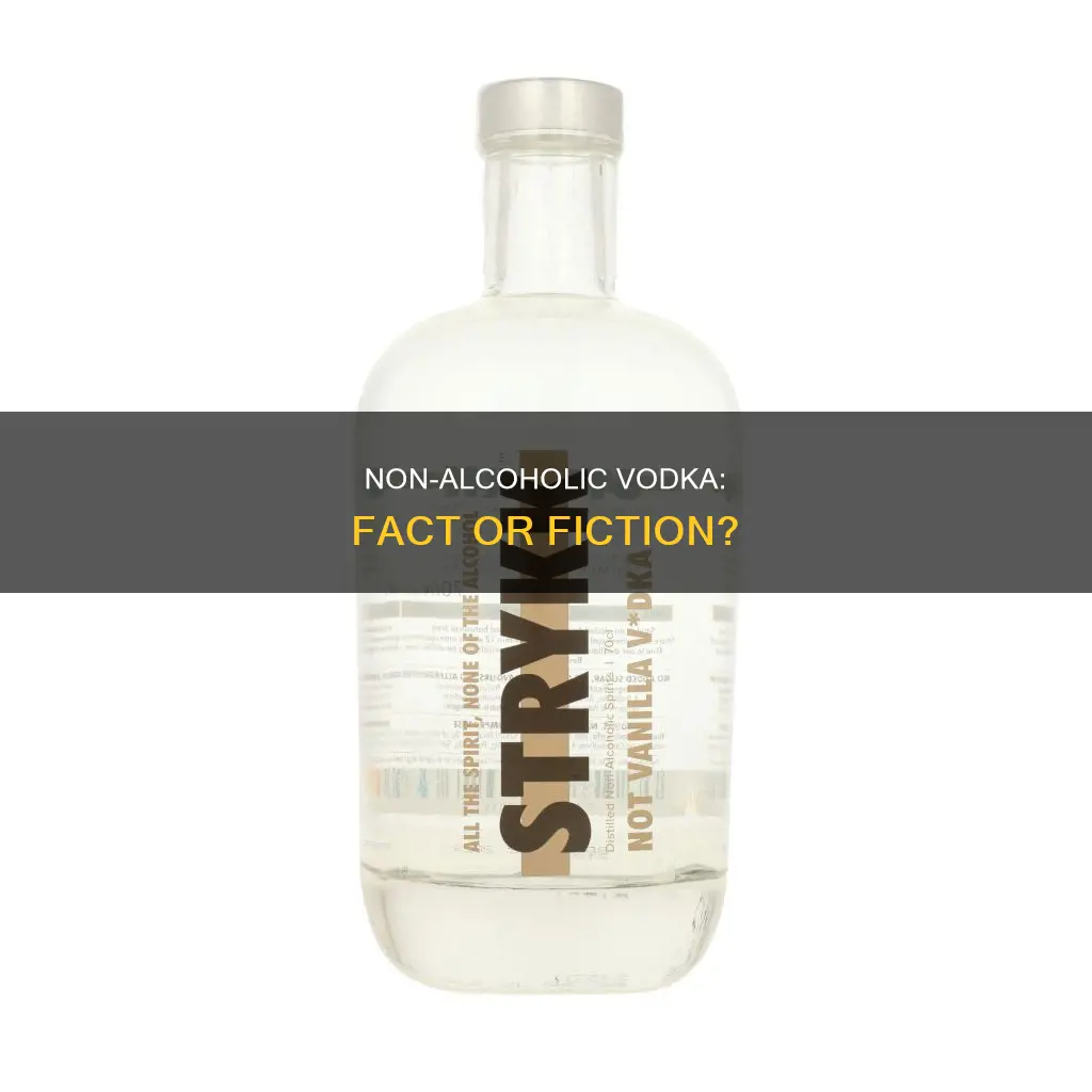 is there such a thing as non alcoholic vodka