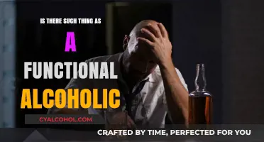Functional Alcoholics: Myth or Reality? Uncovering the Truth Behind the Label